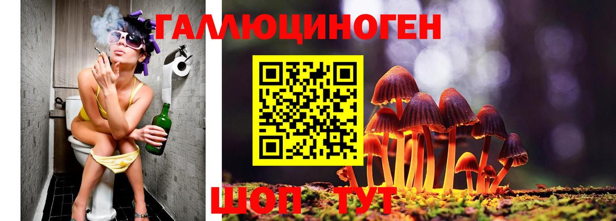 Псилоцибиновые грибы ЛСД Джанкой