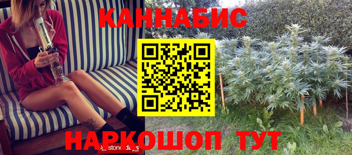 Марихуана OG Kush  Шишки марихуана планчик  Джанкой  Вход с VPN  Канабис VHQ 